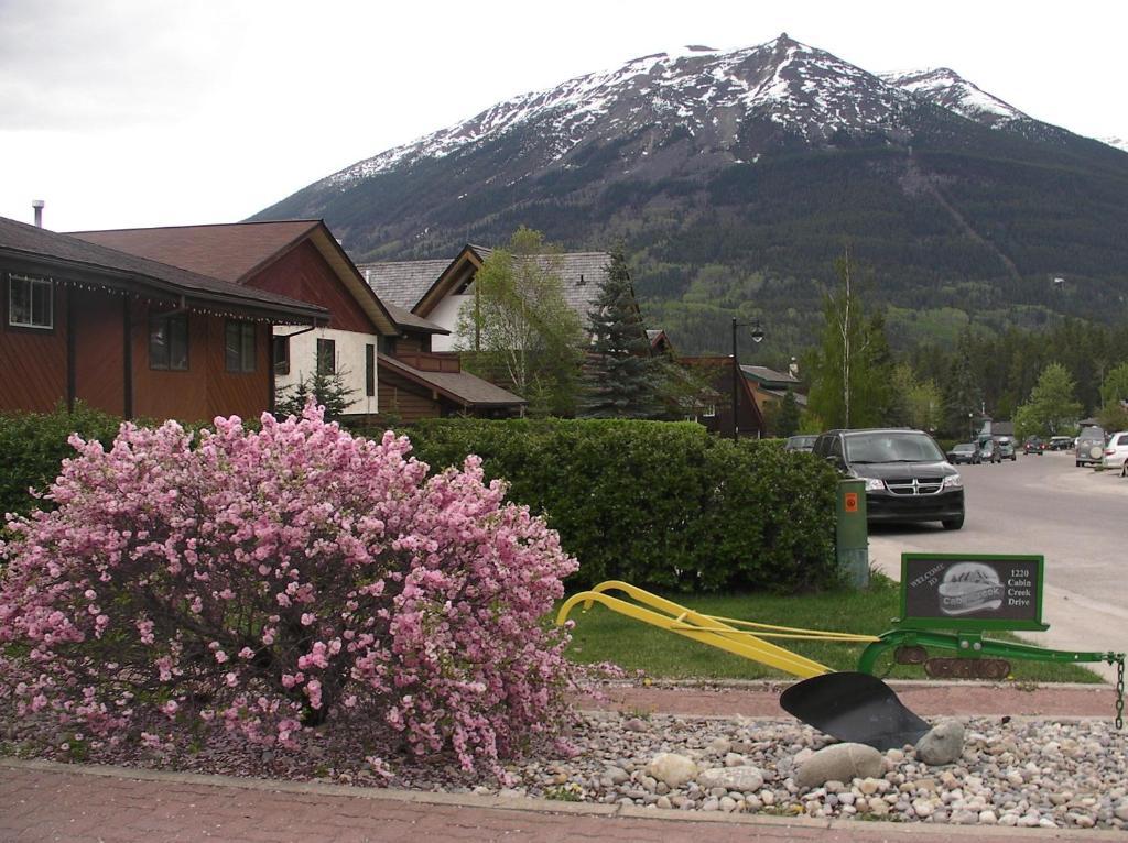 Jasper National Park Schmidt'S Cabin Creek Jasper酒店 外观 照片