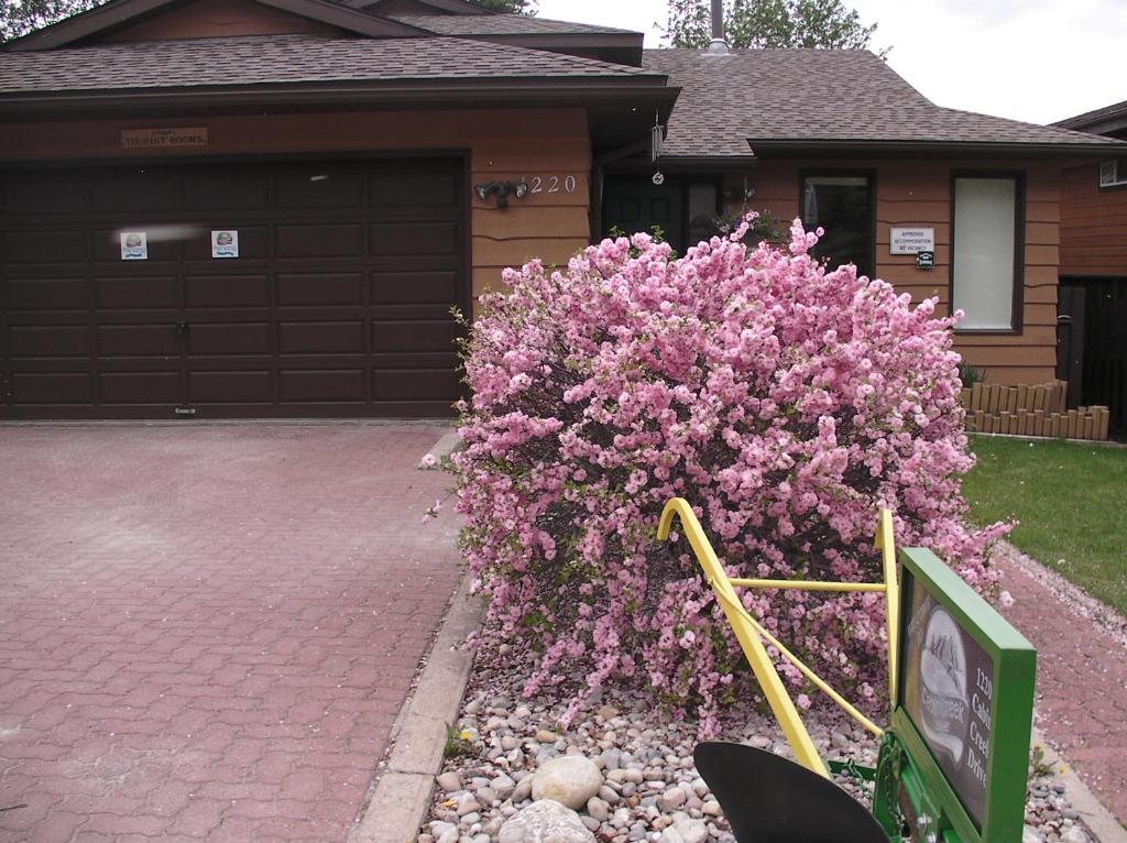 Jasper National Park Schmidt'S Cabin Creek Jasper酒店 外观 照片